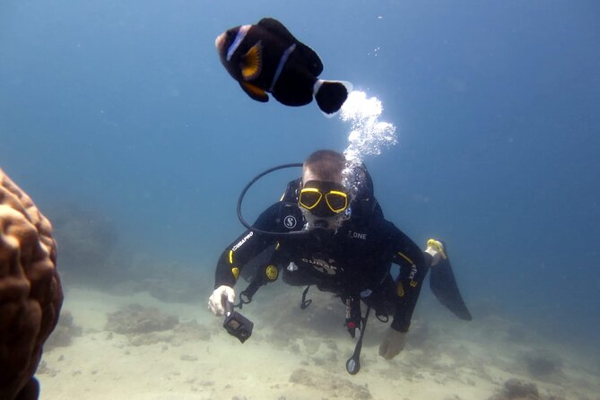 Discover Scuba Diving Experience - Pricing and Reviews