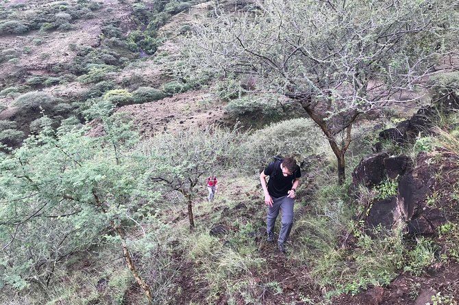 Discover The Best Part of Addis Ababa - Scenic Views