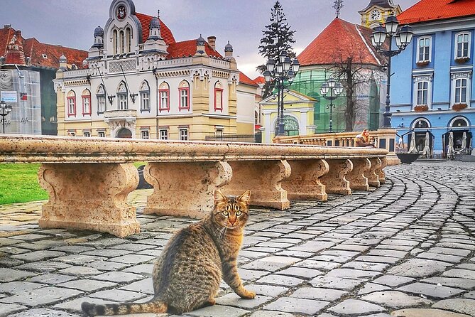 Discover Timisoara by Bicycle - Additional Info