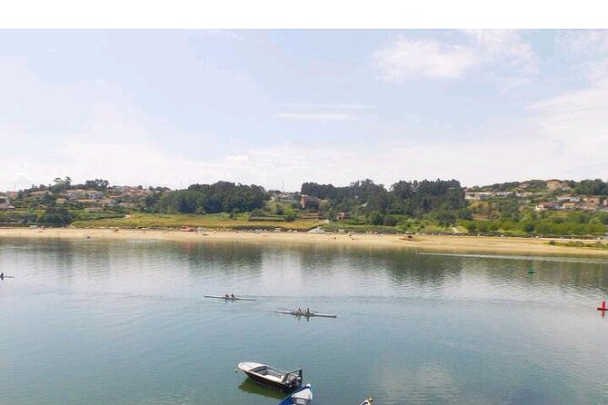 Discovering Oriental Porto With Tasting. - Convenient Logistics