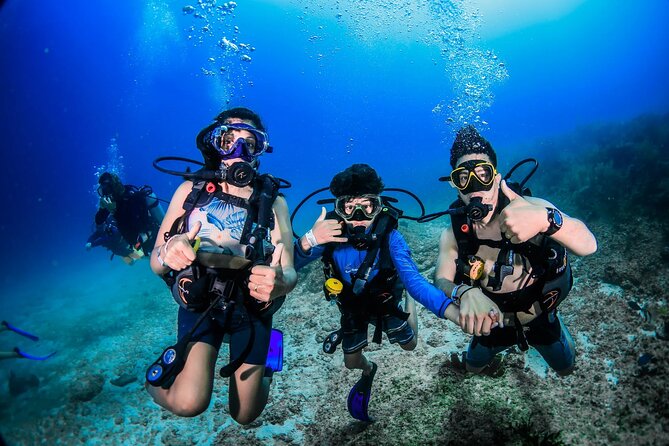 Diving Tour With Lunch - Cancellation Policy