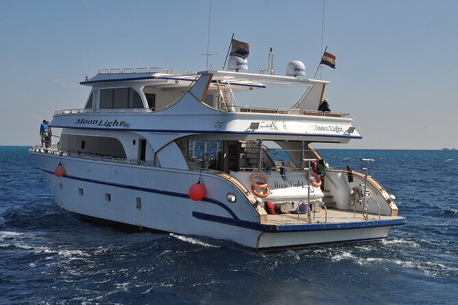 Dolphin House Snorkel and Water Fun Activity With Lunch-Hurghada - Booking Information