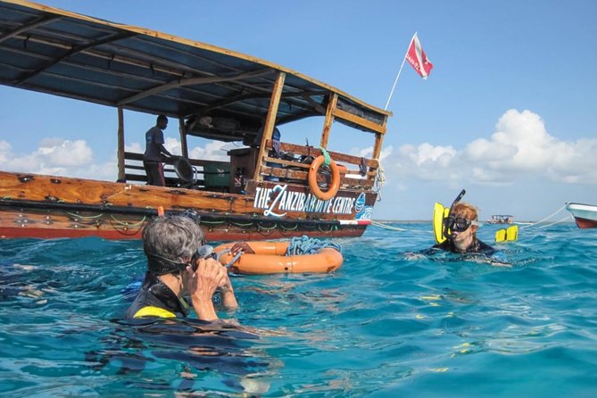 Dolphin Tour - Meeting and Pickup