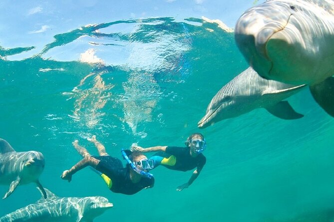 Dolphin Watching and Snorkeling Activity in Muscat - Customer Reviews and Ratings