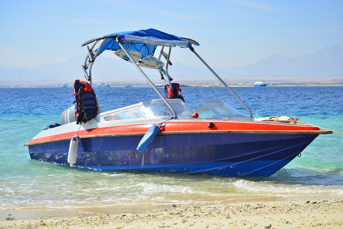 Dolphins House Snorkeling Trip by a Private Speed Boat - El Gouna - Frequently Asked Questions
