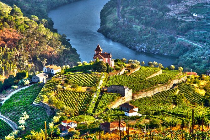 Douro Valley Private Tour With Wine Tastings From 2 Wineries - Booking Tips
