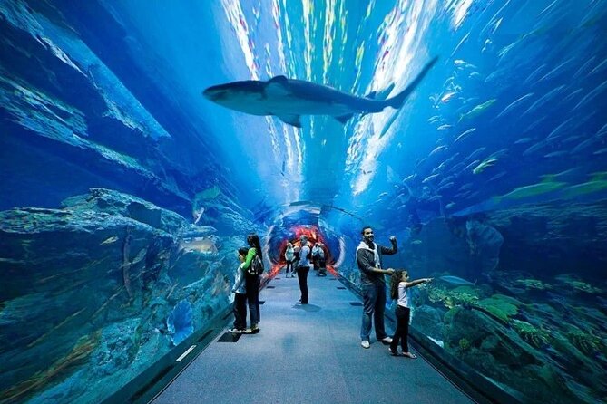 Dubai Aquarium & Under Water Zoo With Penguin Cove Option - Attraction Highlights