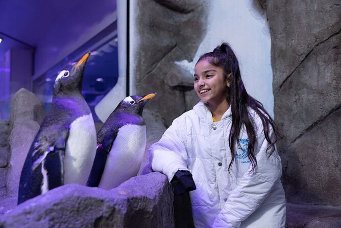 Dubai Aquarium & Underwater Zoo - Reviews