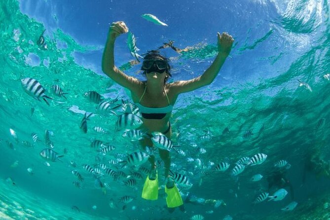 Eastern Mauritius Catamaran Tour: Waterfall & Snorkeling - Cancellation Policy