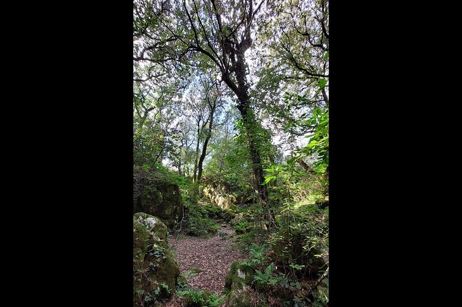 Enchanted Forest Hike and Wine Tasting Private Tour - Price and Booking
