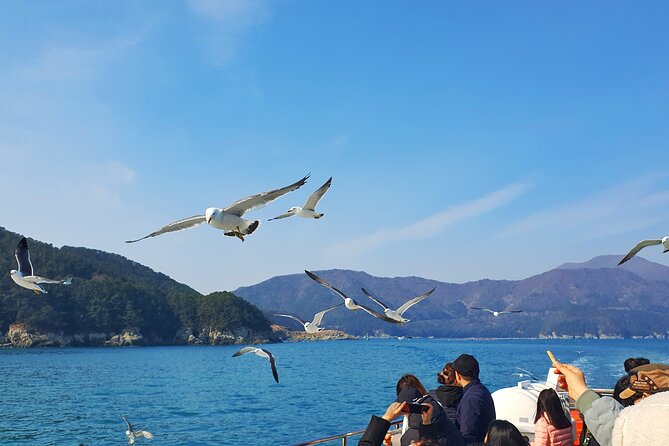 Enchanting Oedo Island Day Tour From Busan - Traveler Testimonials