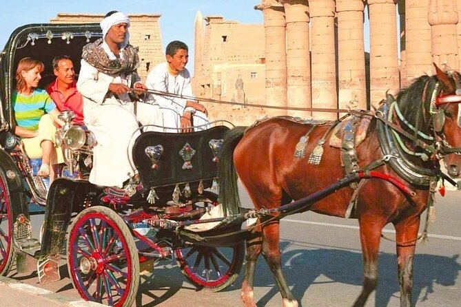 Enjoy Luxor by Night - Luxor Night Tour Highlights