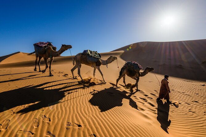 Enjoy Unforgettable 3-Days Desert Tour Fes To Marrakech - The Sum Up