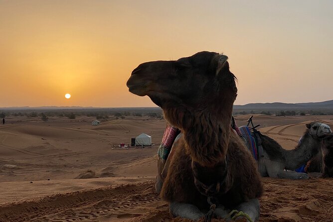 Enjoy Your 3 Days From Fez to the Merzouga Desert - Meeting Point