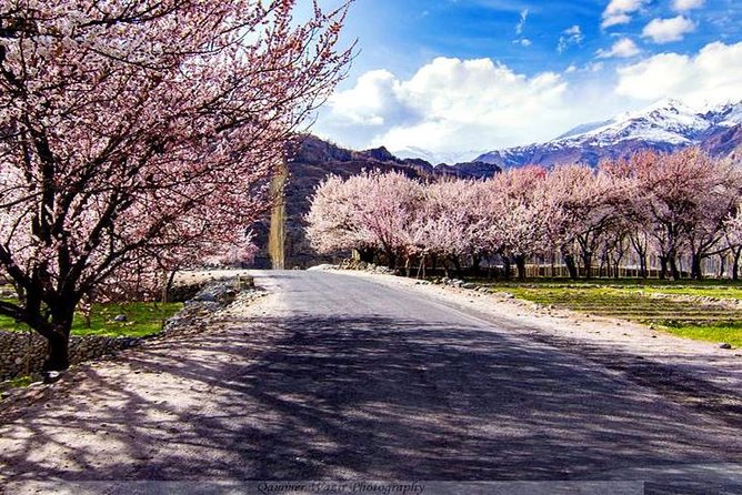 2 Best Safari Tours In Islamabad