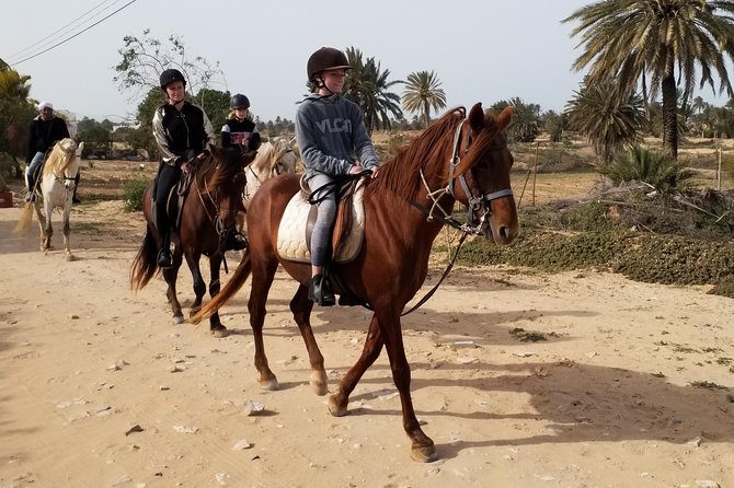 Equestrian Rides - Operating Hours
