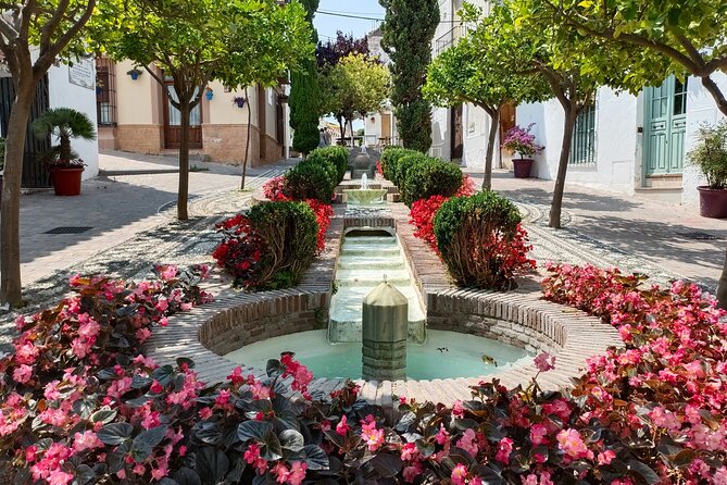 Estepona Private Walking Tour - Orquidarium Tickets