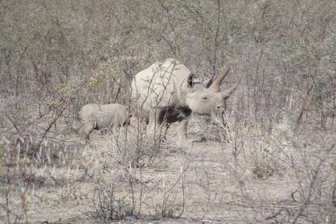 ETOSHA PARK SAFARI With Local Guides in 9-Seater 4x4s - Cancellation Policy