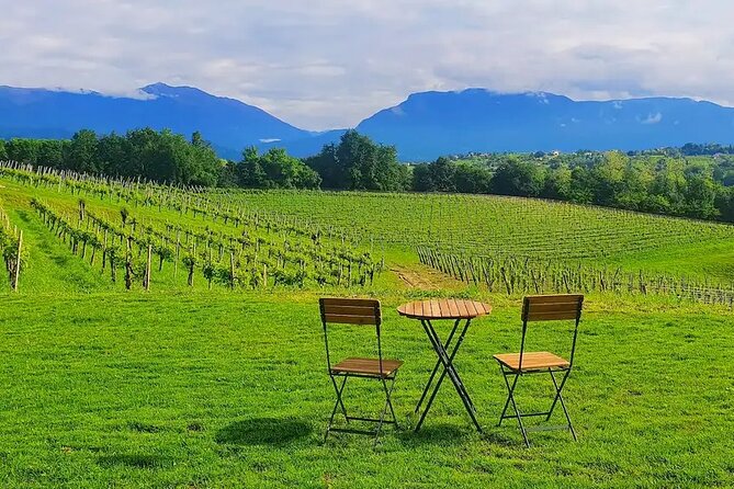 Exclusive Tasting of Superior Prosecco and Amarone - The Sum Up
