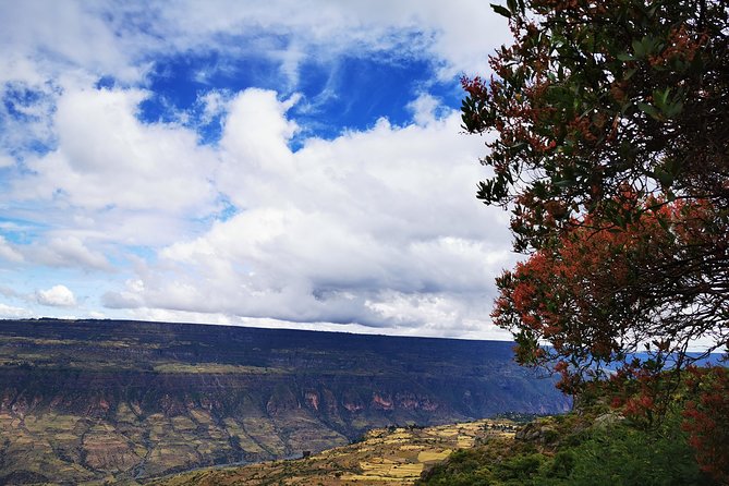 Excursion to Debre Libanos Monastery - Wildlife Spotting Opportunities