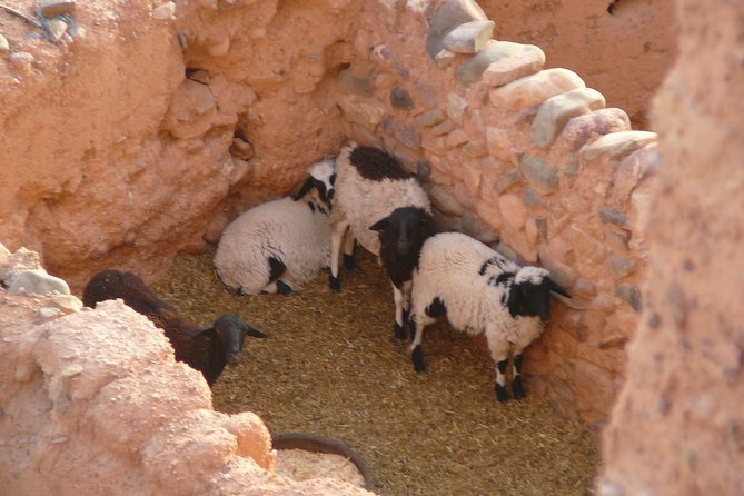 Excursion to the Village of 45 Kasbahs From Ouarzazate - Pickup Locations