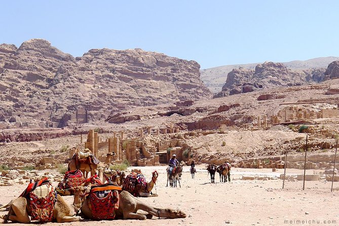 Experience Petra & Wadi Rum in One Day From Amman - Reviews