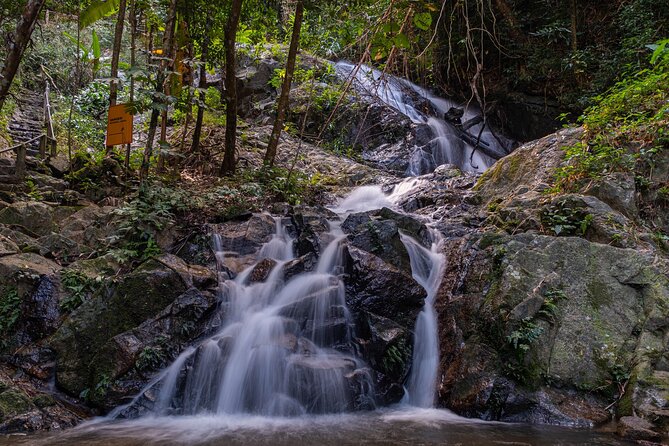 Explore Mae Kampong Village From Chiang Mai City