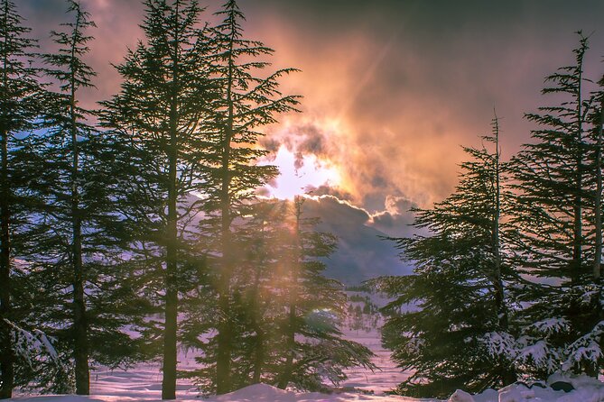 Exploring the Qadisha Valley, Cedars of God, and Baalbek Temples - Frequently Asked Questions