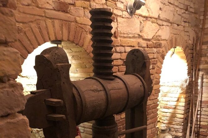 Extra Virgin Olive Oil Walking Tour With Lunch in the Museum - Guided Walking Tour Route