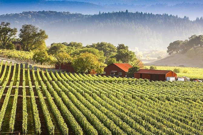 Fabulous Wine Tour to the Bekaa Valey Wineries - Frequently Asked Questions