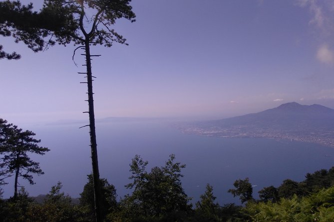 Faito Trek Tour, Cable Car Excursion and Scenic Trails - Frequently Asked Questions
