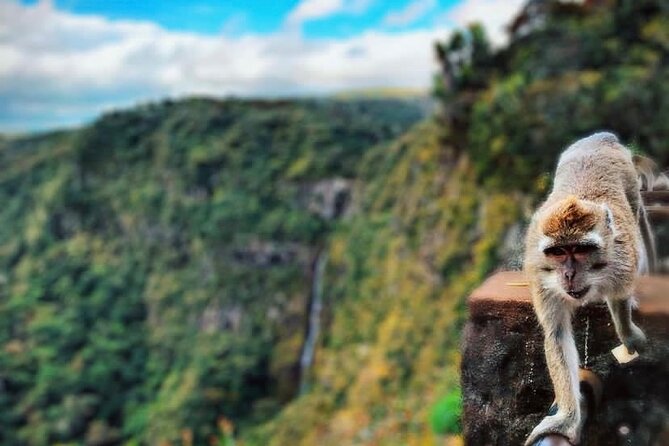 Fascinating Nature Tour Incl Ebony Forest, 7 Coloured Earth,Lunch - Pricing, Lowest Price Guarantee, and Booking