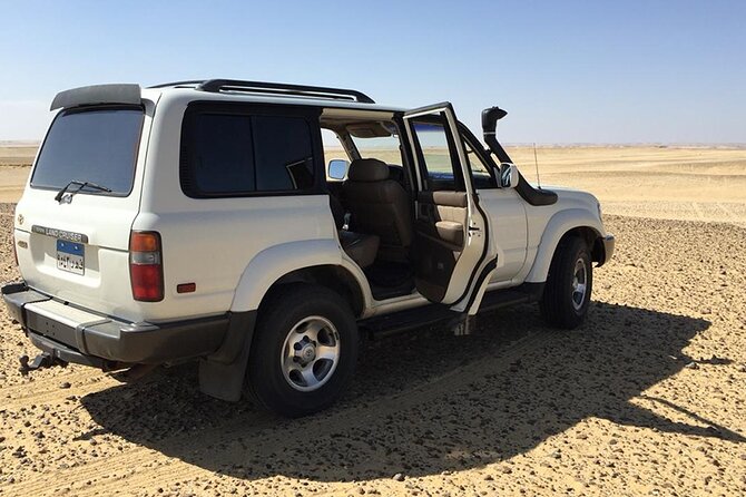 Fayoum Full Day Tour Bird Watching - Cancellation Policy