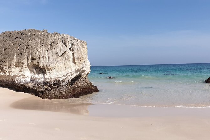 Fazayah Beach Shore Excursion - West Salalah 6-8 Hours Adventure - Personalized Experience Details