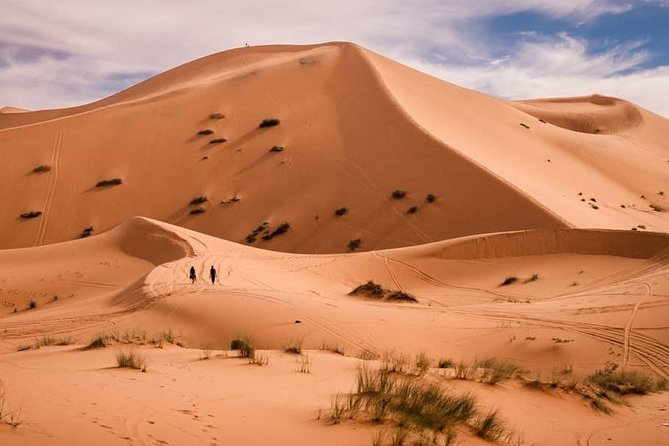 Fes & the Magnificent Journey of the Sahara Desert - 5 Days - Booking Information