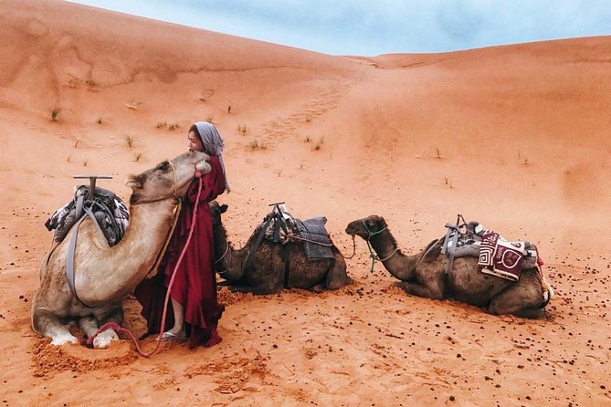 Fes to Marrakech 4 Days Desert Tours - The Sum Up