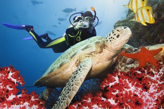 Fethiye Scuba Diving - Two Dives With Professional Instructor - Meeting Point Details