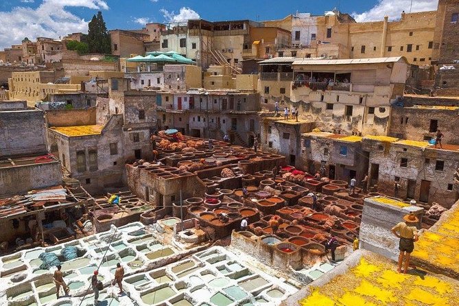Fez Rampart Tour Including Chouara Tannery - Experience Expectations