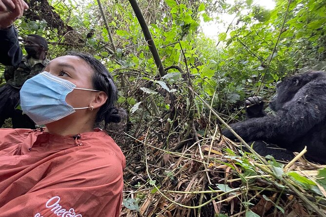 Five Day Highlights of Rwanda Tour - Day 5: Gorilla Trekking