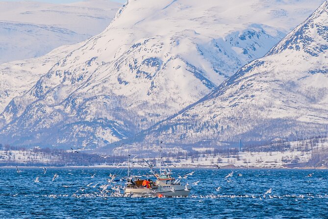 Fjord Safari in the Altafjord - Frequently Asked Questions