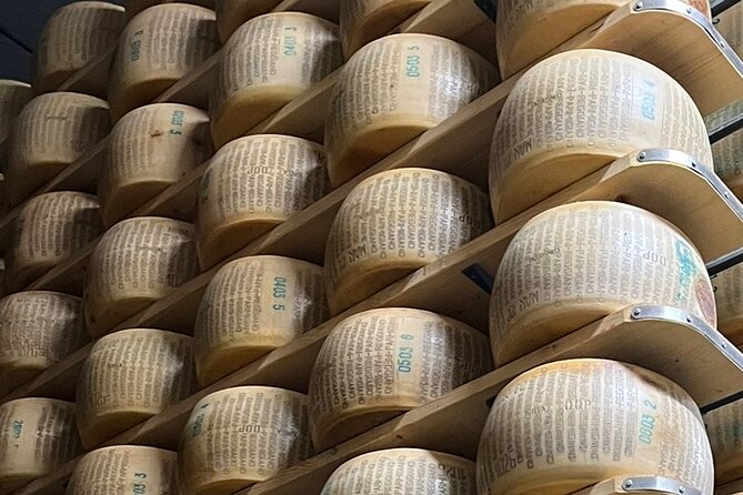 Food Tour Bologna - Frequently Asked Questions