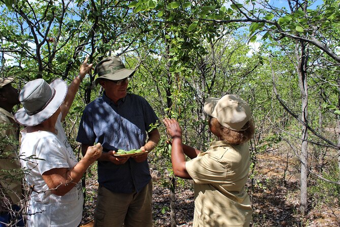 Foraging in Tswapong Forest Near Palapye - Price and Booking Information