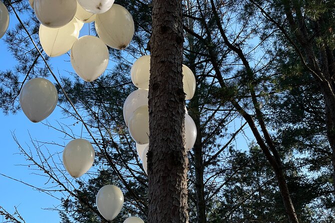 Four Seasons of Nami Island With Garden of Morning Calm Tour - The Sum Up