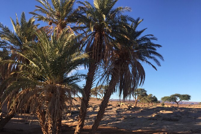 From Agadir to Marrakech: Private 5 Days Luxury Desert Tour to Merzouga - Private Tour