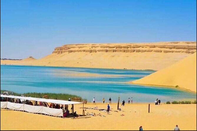 From Cairo to Whales Valley and Wadi El Rayan Waterfalls - Whats Included in the Tour
