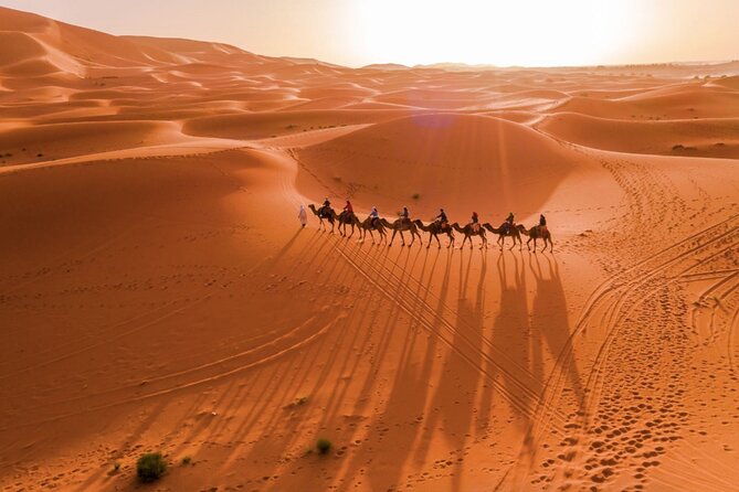 From Marrakech to Merzouga 3-Day Tour Adventure Small-Group - Pricing and Reviews