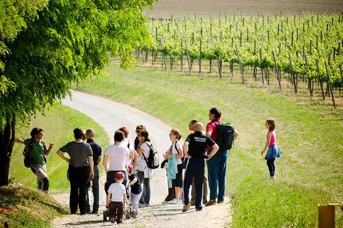 From Milan Full Day in Franciacorta 2 Wineries and Lunch - Directions