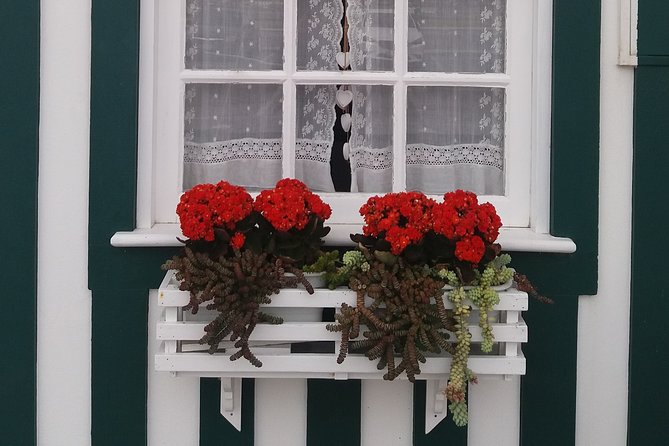 From Porto - Private Tour to Aveiro and Ilhavo Drop-off in Lisbon - Expectations