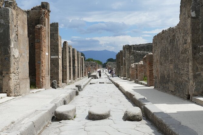 From Rome Pompeii and Vesuvius Guided Day Trip With Lunch - Price and Booking Information