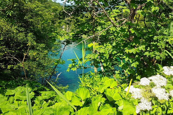 From ŠIbenik to Zagreb With Plitvice Lakes Tour - Private Transfer-Tour - Frequently Asked Questions